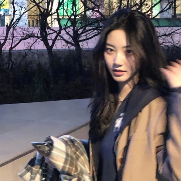 报告王爷，王妃是只猫2