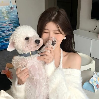 心网